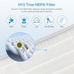 E-300L Air Purifier H13 Replacement Filter (2PC)