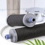 AQUAYOUTH 2.0 Carbon Shower Filter for Healthy Skin