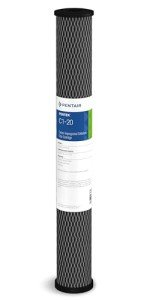 Pentair Pentek C1-20 Whole House Carbon Filter