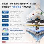 6-Stage Alkaline Stainless Steel Water Filter