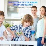 Sabethe 1 Micron Whole House Water Filter Pack