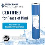 Pentair Pentek Big Blue Carbon Water Filter Cartridge