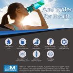 Inline 10" Carbon Water Filter for Taste & Odor