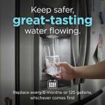 Frigidaire PurePour PWF-2 Water & Ice Filter