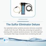Sulfur Eliminator Deluxe Well Water Filter System