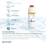 Elkay ERF750 Lead and Microplastics Water Filter