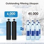Waterdrop NSF/ANSI 42&372 Certified Water Filter, Replacement for Berkey® BB9-2® Black Filters, Berkey® Gravity Water Filter System and Waterdrop King Tank Series, (Pack of 2)