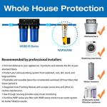 iSpring 2-Stage Whole House Water Filtration System