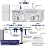 iSpring 2-Stage Whole House Water Filtration System