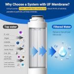 IceJoy 0.01μm Under Sink Water Filter System