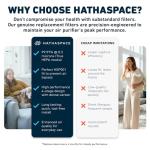 HATHASPACE HSP001 True HEPA Filter Replacement