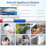 iSpring ED2000 Salt-Free Whole House Water Descaler