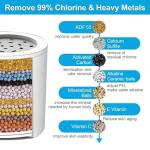 Yodel Vitamin C Shower Head Water Filter