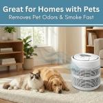 Honeywell 50100, 50150, 50200, 50250, 50300 Air Purifiers Compatible Pre Filter Deodorizes Air and Removes Odors With Activated Carbon and Zeolite To Extend Air Filter Life (1pack)