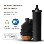 Phoenix Gravity-Fed 1.5 Gallon Stainless Steel Camping & Countertop Water Filter System with Authentic Black Phoenix Filter Elements and Stainless Steel Tap