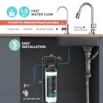 Frizzlife SW10F Under Sink Water Filter System