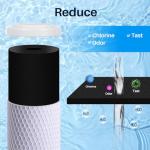 CFS – 4 Pack Carbon Block Water Filter Cartridge Compatible with Flow-Pur 8, WCBCS-975-RV Models – Removes Bad Taste and Odor – Whole House Replacement Filter Cartridge – 10“ x 2.5”