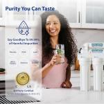 APEC ROES-UV75-SS 75 GPD Reverse Osmosis Filter System