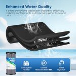 PUREPLUS 5 Micron 10" x 4.5" Whole House Coconut Shell Activated Carbon Water Filter Replacement Cartridge for Dupont WFHDC8001, CB-BB-10, GE FXHTC, GXWH40L, GXWH35F, GNWH38S, CTO10BB, 2PACK