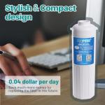 ICEPURE WFC5300A Under Sink Water Filter System