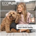 EcoPure ECOP20 Undersink Water Filtration System