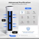 iSpring CKC1C Countertop Drinking Water Filtration System with Carbon Filter, 2.5" x 10", Clear