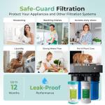 iSpring WGB21B-KS Whole House Water Filter System