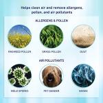 Holmes True HEPA, Filter, White