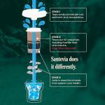 Santevia Gravity Water System Filter | at Home Water Filter That Makes Water Alkaline and Adds Minerals | Chlorine and Fluoride Filter (Countertop Model)