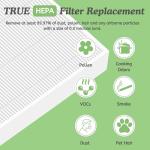 Nispira True HEPA Filter Compatible with Envion Allergy Pro AP450 Air Purifier Part AP450F. 2 Pack