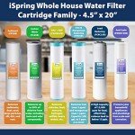 iSpring FC25B Whole House Water Filter Replacement Cartridge, CTO Carbon Block, 20” x 4.5”