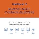 AprilAire 313 Replacement Filter for AprilAire Whole House Air Purifiers - MERV 13, Healthy Home Allergy, 20x20x4 Air Filter (Pack of 2)