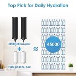 AQUA CREST Gravity Water Filter System, 304 Stainless Steel Countertop System with 4 Filters and Anti-Slip Stand, Reduce Fluoride and Chlorine, 2.25G, for Home, Camping, RVing, Off-Grid, Emergencies