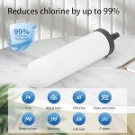 FACHIOO 2.25G Gravity Water Filter System, 304 Stainless Steel Countertop System with 2 Ceramic Filters and Stainless Steel Spigot, Reduce Chlorine, for Home, Camping, RVing, Off-Grid, Emergencies