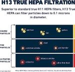 Hathaspace Air Purifier Hepa Filter Replacement - Certified Filters for HSP002 Smart Air Purifiers - Easy to Install, H13 True Hepa - 1 Pack