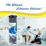 EXCELPURE 1 Micron 10" x 2.5" Whole House CTO Carbon Water Filter Cartridge Replacement for Home Countertop System, Dupont WFPFC8002, WFPFC9001, FXWTC, SCWH-5, WHEF-WHWC, WHCF-WHWC, CTO10, T01, 4PACK