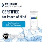 Pentair Pentek DGD-5005 Big Blue Water Filter, 10-Inch Whole House Sediment Filter Cartridge Replacement, Dual-Gradient Density Spun Polypropylene, 10" x 4.5", 5 Micron, Pack of 1