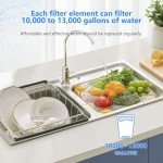 BLUERISE 5 Micron 10" x 2.5" Water Filter Replacement Whole House Sediment Home Water Filter Replacement Cartridge Ro Sediment Filter Easy Installation Fits Any 10" Reverse Osmosis Unit - 6 Pack