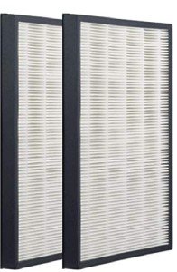 Nispira True HEPA Filter Compatible with Envion Allergy Pro AP450 Air Purifier Part AP450F. 2 Pack