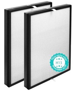 Byseacore AP450FA Filter Replacement Compatible with Envion Allergy Pro AP450 Air Purifier, 2 Counts of H13 True HEPA Filter Part#AP450F