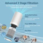 JF100 Replacement Filter Compatible with JF100 Air Purifier, 3-in-1 True HEPA and Activated Carbon Filters, 2 Pack
