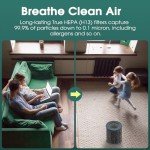 Air Mini PECO-HEPA Replacement Filters Compatible with Moleku-le Tri-Power Air Mini & Air Mini + Air Purifiers,3 in 1 High-Efficiency Filtration System - 1 Pack