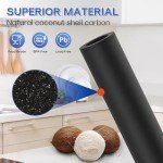 ICEPURE Gravity-fed Water Filter System, 2.35G Stainless-Steel 304 Countertop Filter System with 2 Black Carbon Filters, Providing Clean&Clear&Fresh Water, Used for Camping, RVing, Emergencies, Home