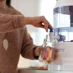 Santevia Gravity Water System Filter | at Home Water Filter That Makes Water Alkaline and Adds Minerals | Chlorine and Fluoride Filter (Countertop Model)