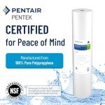 Pentair Pentek DGD-5005-20 Big Blue Water Filter, 20-Inch Whole House Sediment Filter Cartridge Replacement, Dual-Gradient Density Spun Polypropylene, 20" x 4.5", 5 Micron, Pack of 1, White