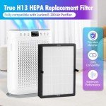 Aiskaer True HEPA Filter Replacement Compatible with LUNINO E-200 Air Cleaner Purifier for Home and Bedroom,3-in-1 Filtration System,2 Pack