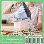 48 Packs Replacement Activated Charcoal Distiller Filters Coconut Shell Activated Carbon Filter Sachets Compatible with Countertop Water Distiller Models