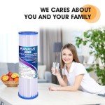 PUREPLUS 5 Micron 10"x2.5" Whole House Pleated Sediment Filter for Well Water, Replacement Cartridge for Universal 10 inch RO System, W50PE, WFPFC3002, SPC-25-1050, FM-50-975, 801-50, WB-50W, 4Pack