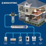 BriskSpring Automatic Cleaning Filter Screen, Spin Down Sediment Water Filter, 1" MNPT + 3/4" FNPT, 300 Micron Reusable Whole House Water Filter System for Well Water with Built-in Housing Scraper