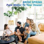 BriskSpring Automatic Cleaning Filter Screen, Spin Down Sediment Water Filter, 1" MNPT + 3/4" FNPT, 300 Micron Reusable Whole House Water Filter System for Well Water with Built-in Housing Scraper